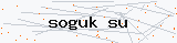 Güvenlik kodu
